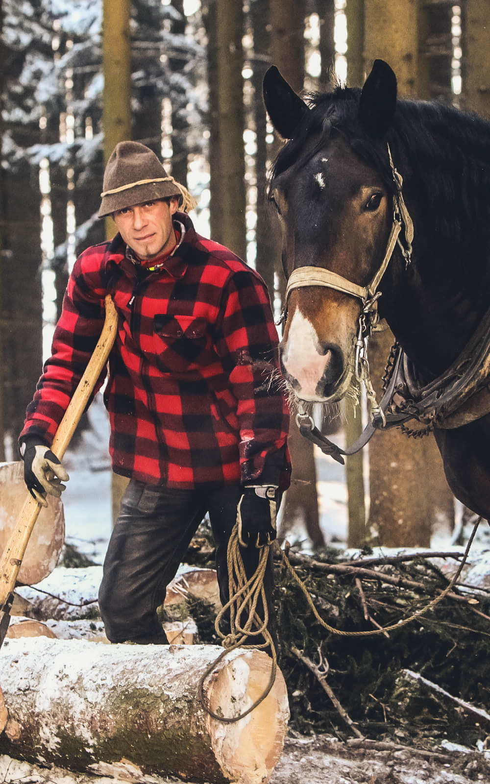 Holzrücken mit Pferd | Innviertel