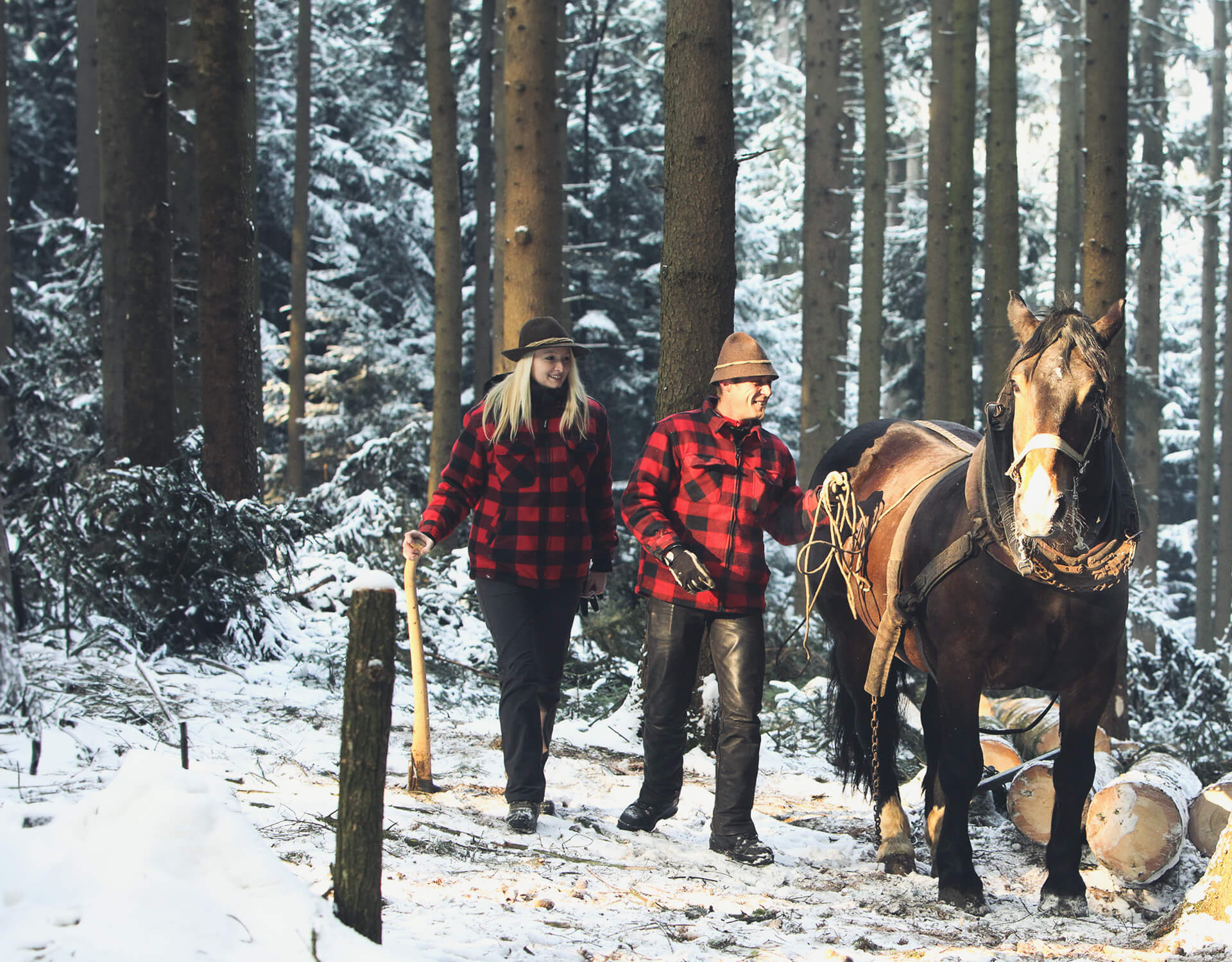 Holzrücken mit Pferd im Innviertel